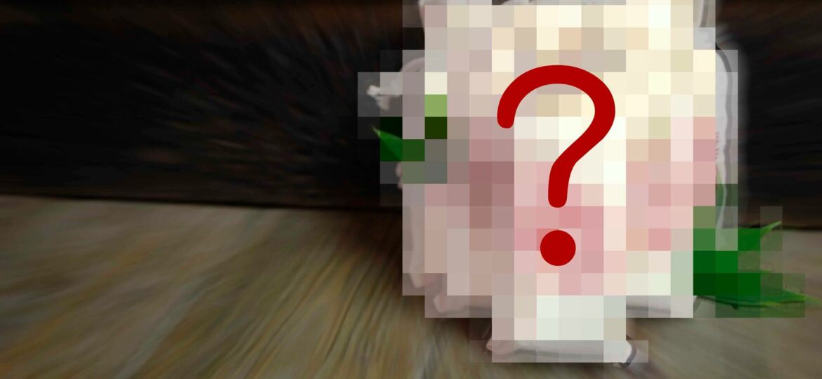 1800084_647904385264945_627054525_o